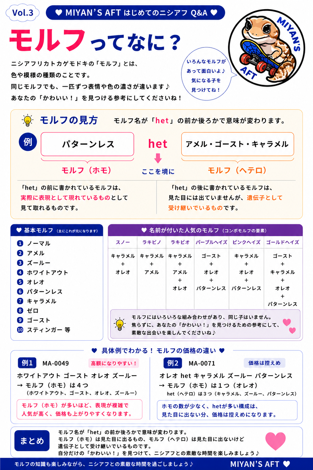 Vol.3 モルフってなに？｜基本的な考え方