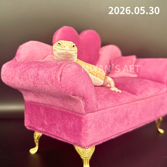 MA-0035　ホワイトアウトアメルズールー hetパターンレス　♀